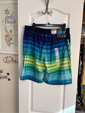 Men's Ombre Blue-Green Stripe Swim Trunks